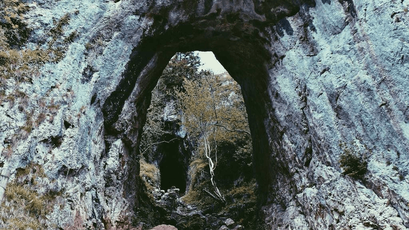 Cardio - professional stock photography