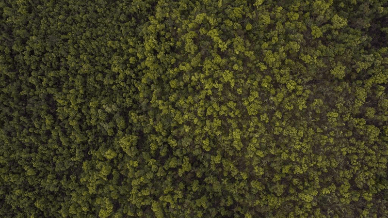 Deadlift - professional stock photography